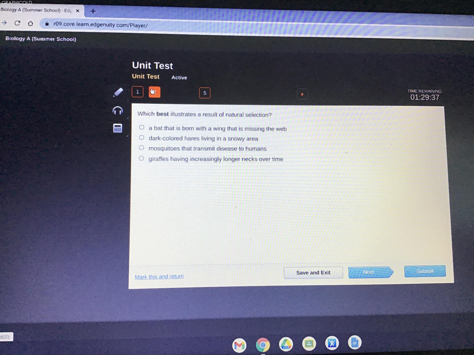 Examples Of Natural Selection's Impact On Species Which Best
