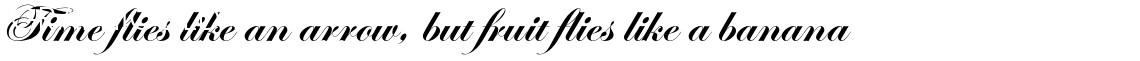 ITC Edwardian Script Std Bold Fonts