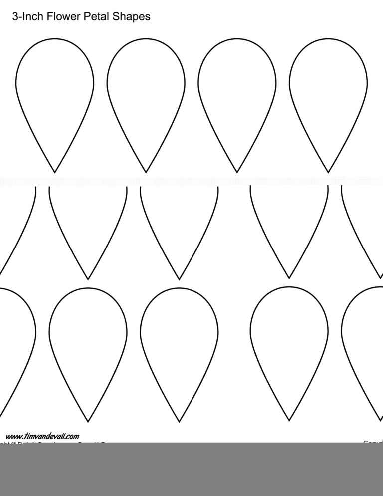 Flower Petal Template Creating Stunning Floral Designs GRAPHICOLD
