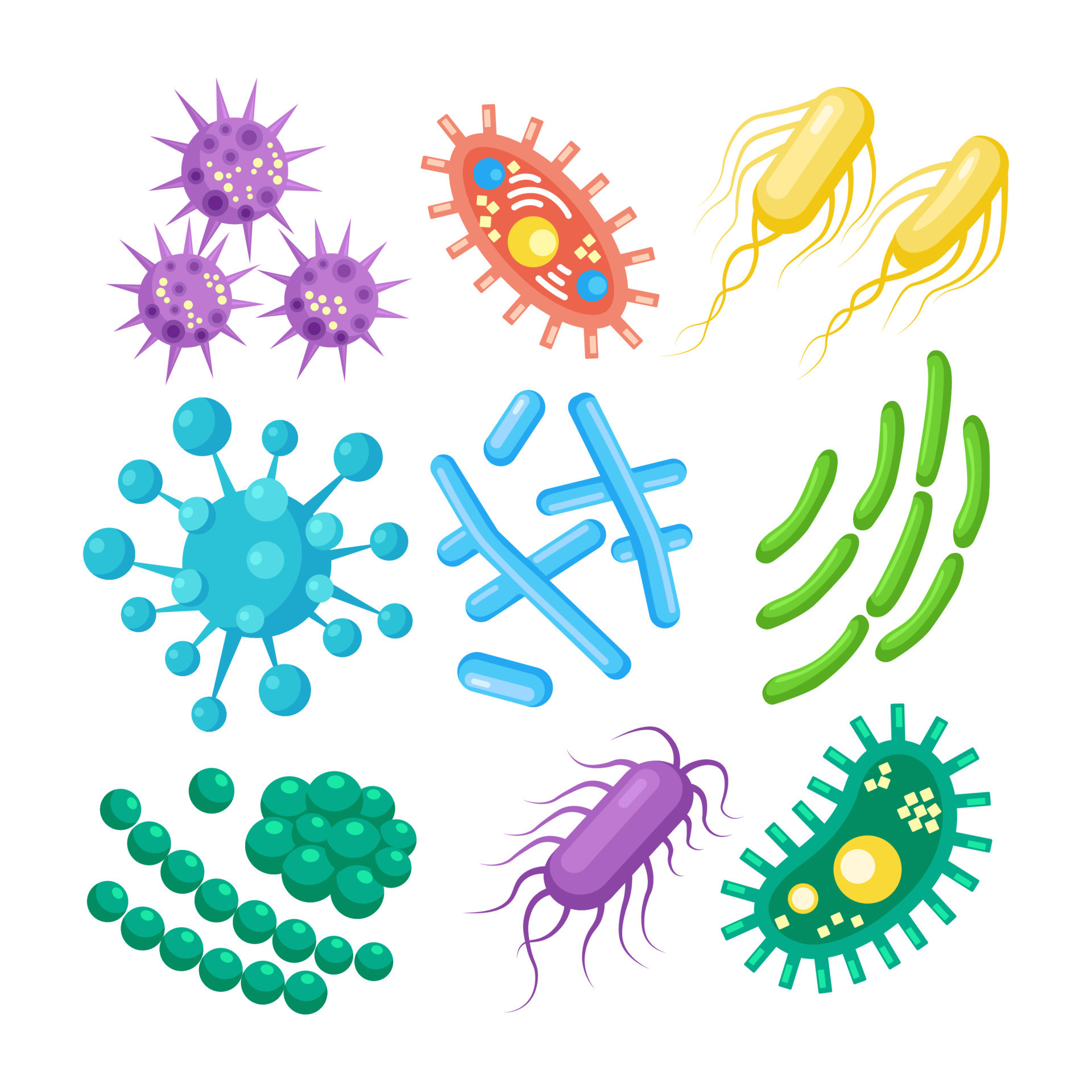 Bacteria Vector Art, Icons, and Graphics for Free Download