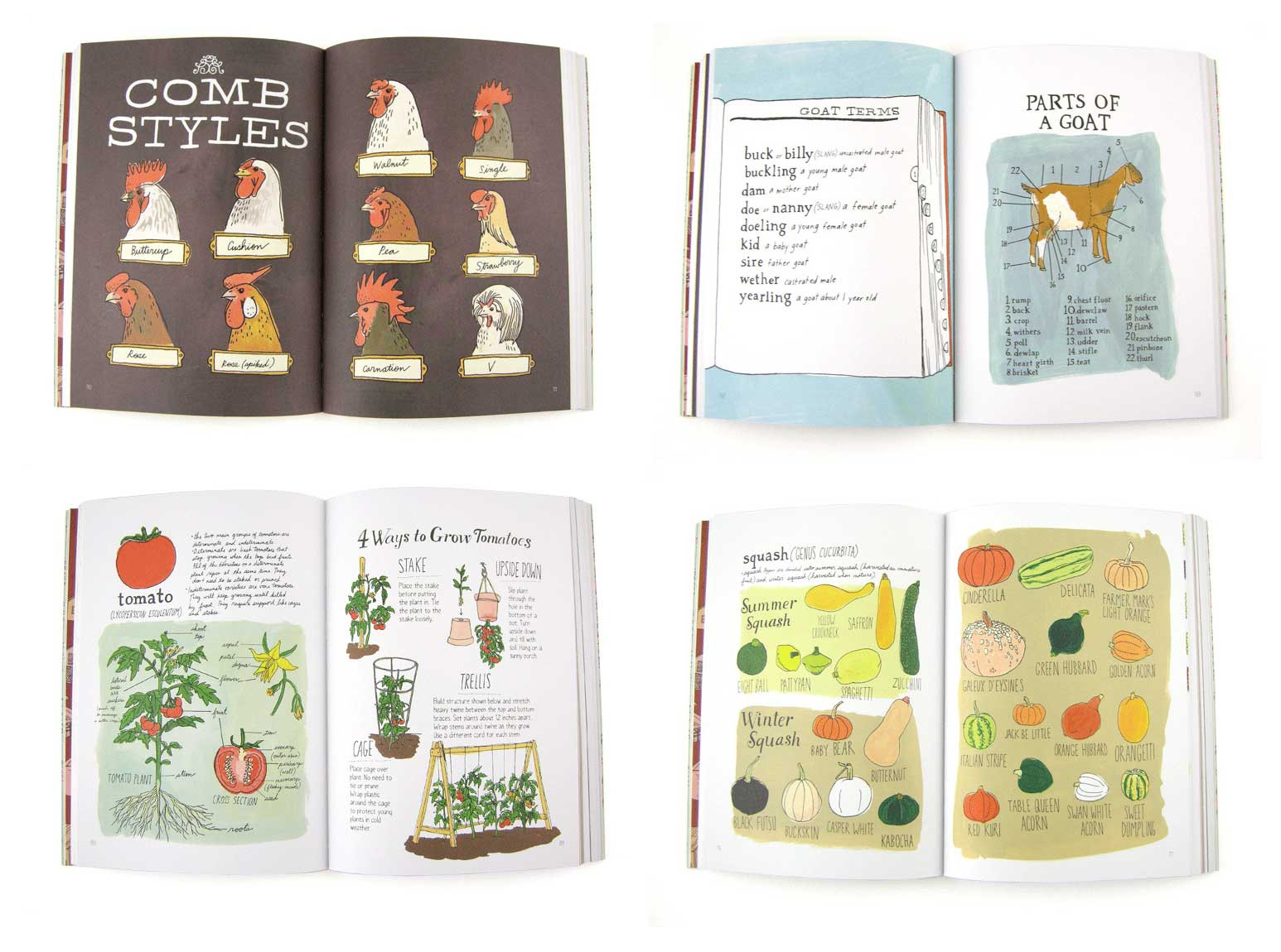 Books — Julia Rothman