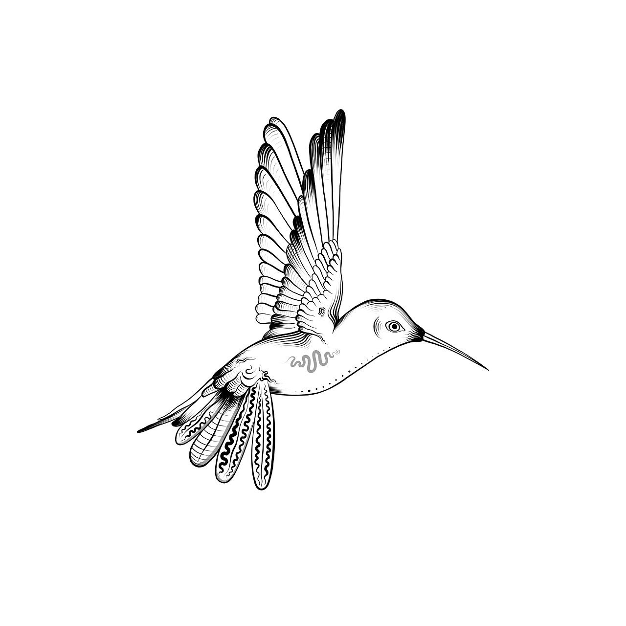 Explore + Free Hummingbird Illustrations: Download Now - Pixabay
