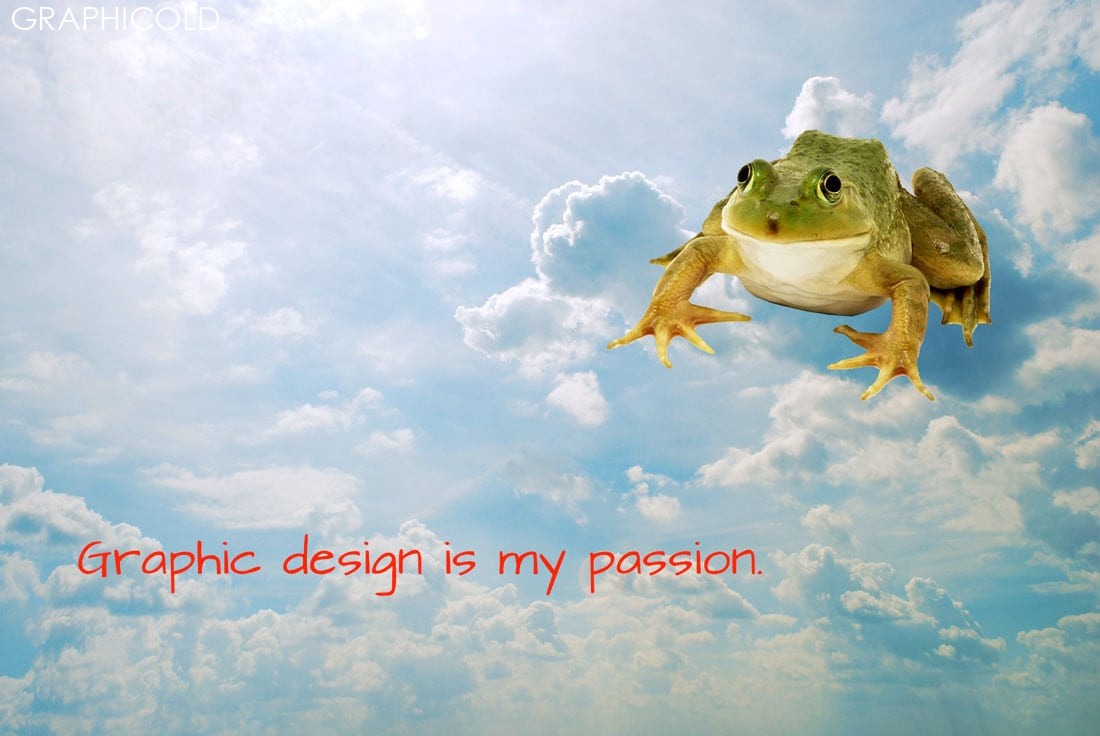 Graphic Design Is My Passion:  Meme Picks  Design Shack