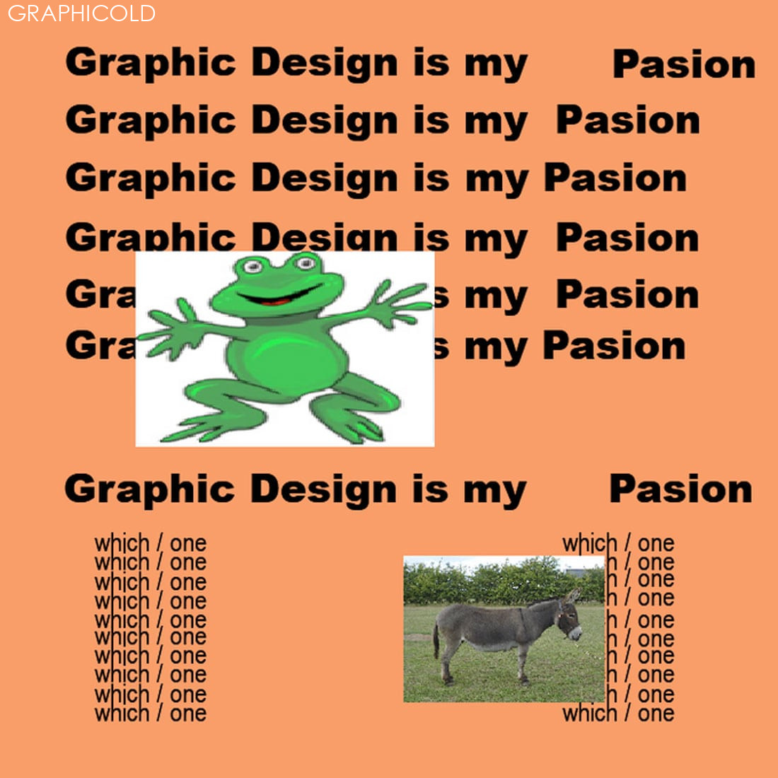 Graphic Design Is My Passion:  Meme Picks  Design Shack