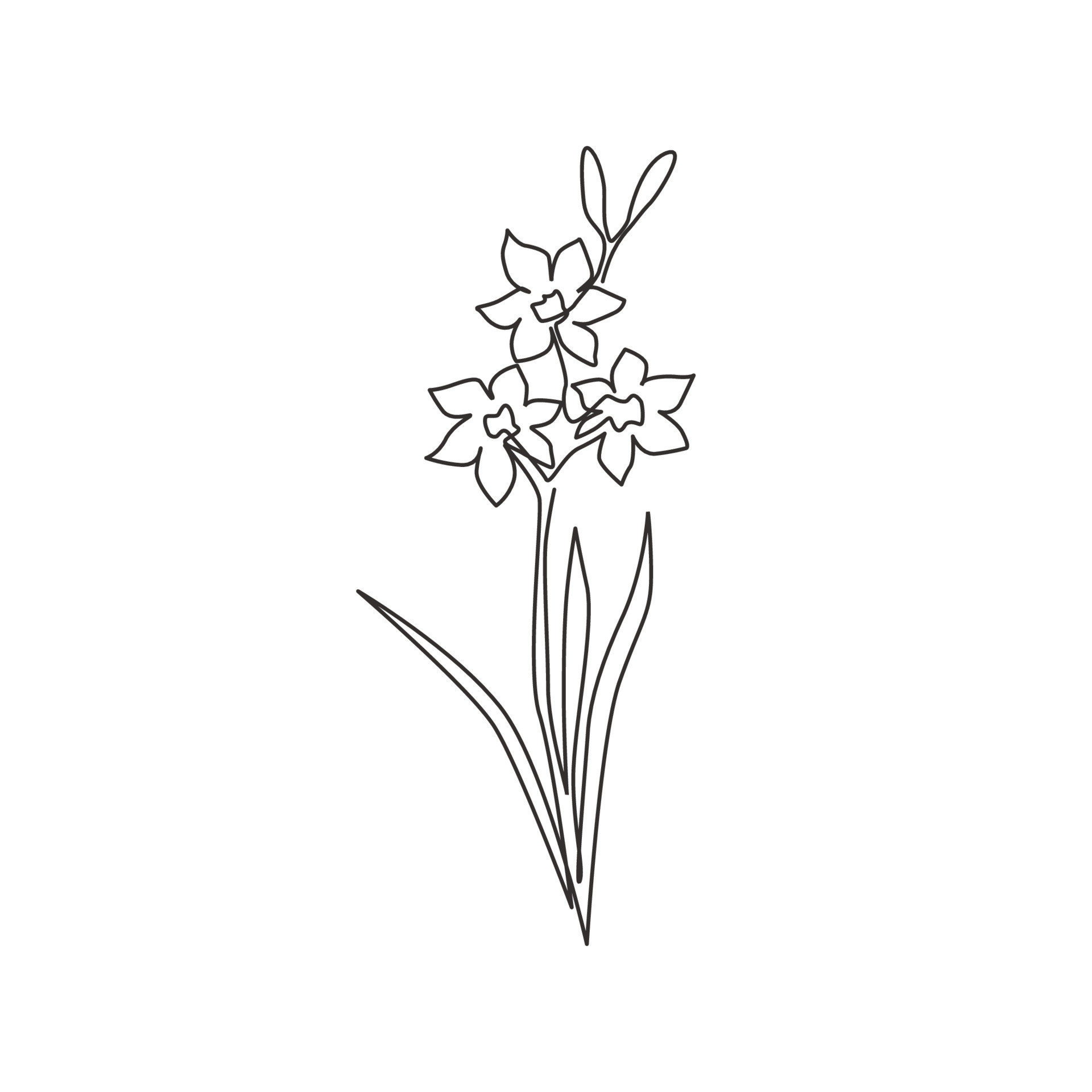 One continuous line drawing beauty fresh narcissus of garden logo