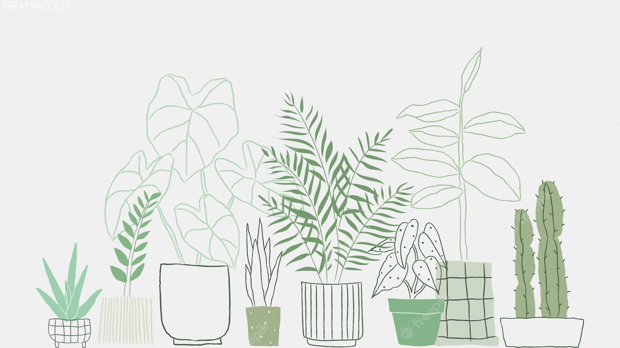 Plant Images - Free Download on Freepik